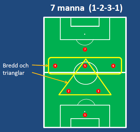 SPELSYSTEM 7-manna (10-12 år) Nässjö FF har en spelarutbildningsplan där det bl.a. ingår att en spelare bör känna till och behärska olika spelsystem med tillhörande utgångspositioner, anfalls- och försvarsmetoder samt lagets och spelarnas balans.