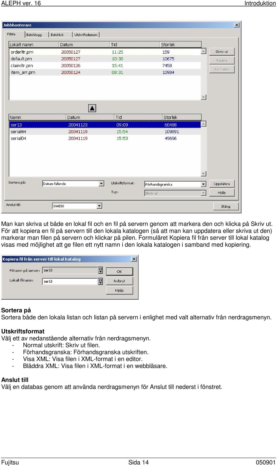 Formuläret Kopiera fil från server till lokal katalog visas med möjlighet att ge filen ett nytt namn i den lokala katalogen i samband med kopiering.