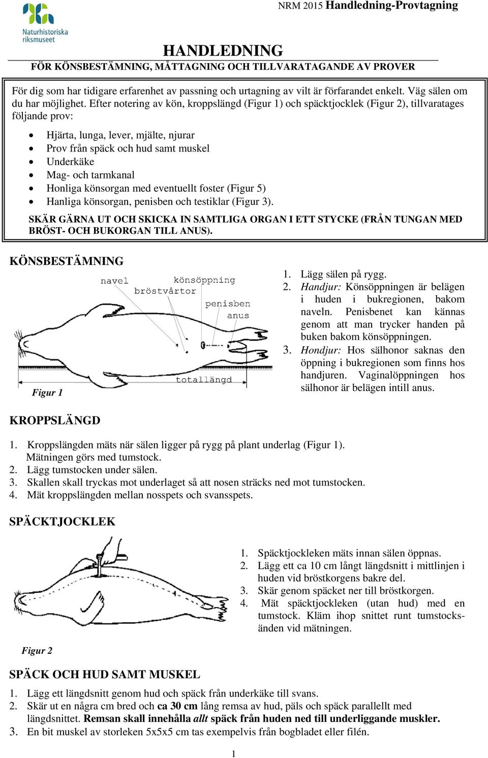 Efter notering av kön, kroppslängd (Figur 1) och späcktjocklek (Figur 2), tillvaratages följande prov: Hjärta, lunga, lever, mjälte, njurar Prov från späck och hud samt muskel Underkäke Mag- och