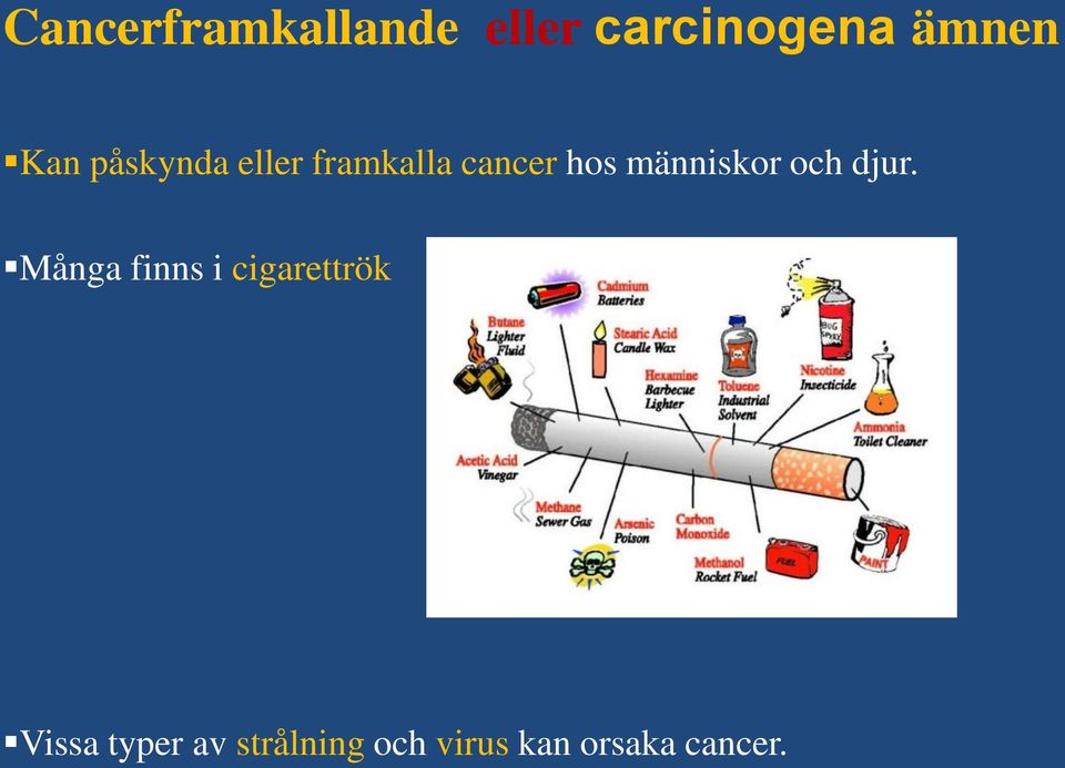 människor och djur.
