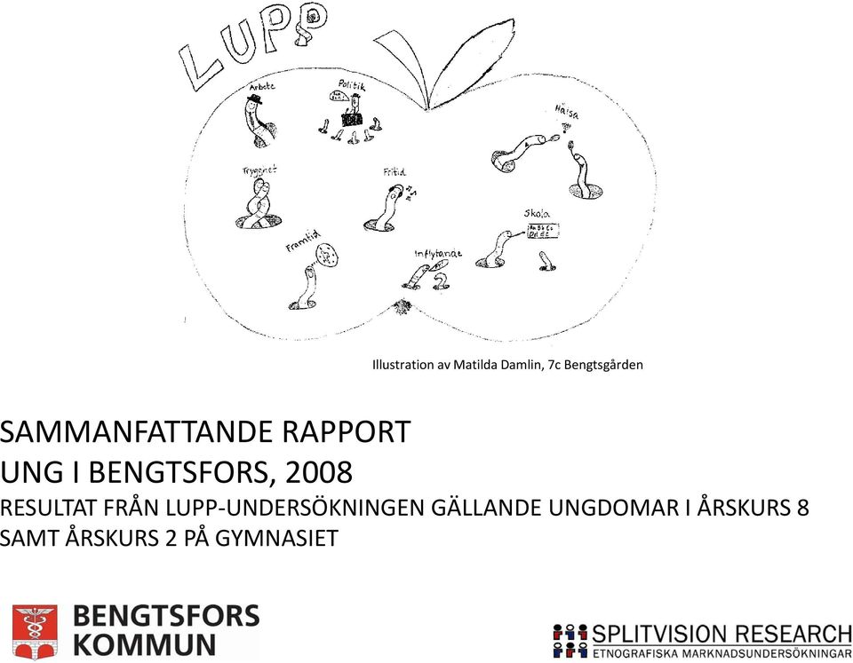 RESULTAT FRÅN LUPP UNDERSÖKNINGEN UNDERSÖKNINGEN