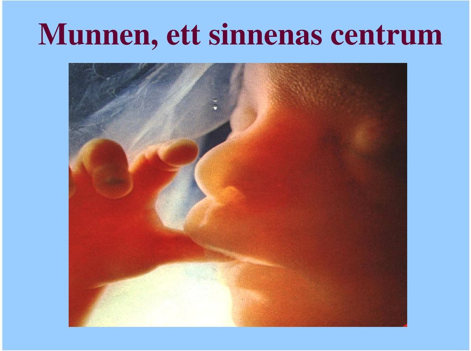 sinnenas