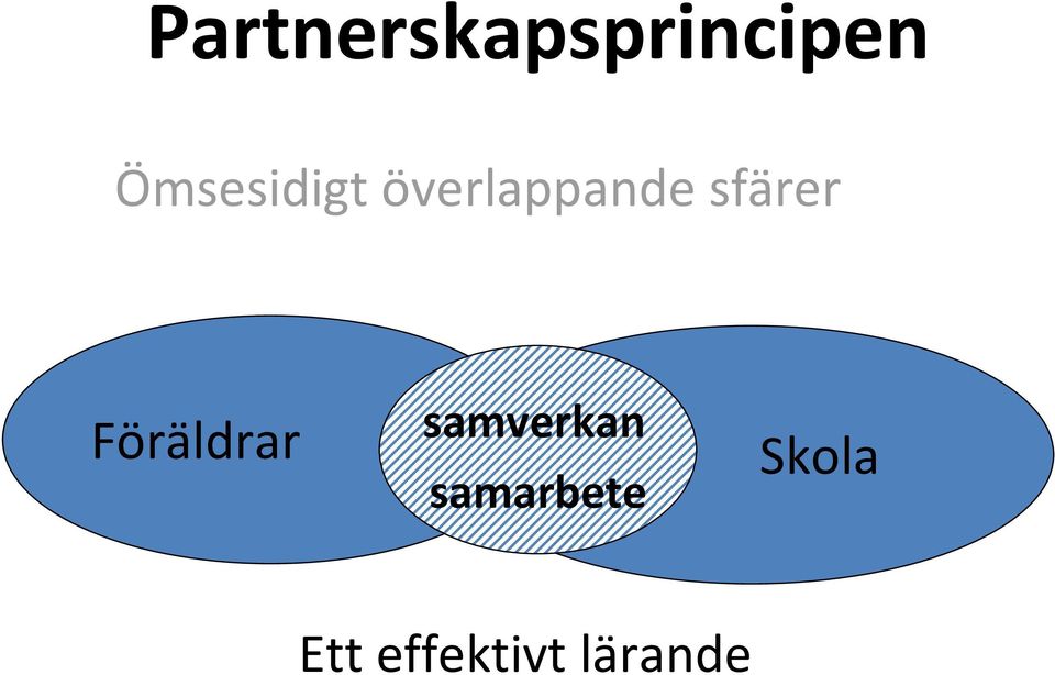 sfärer Föräldrar samverkan