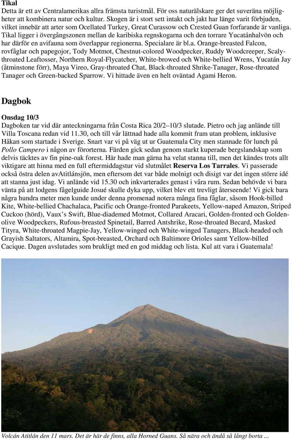 Tikal ligger i övergångszonen mellan de karibiska regnskogarna och den torrare Yucatánhalvön och har därför en avifauna som överlappar regionerna. Specialare är bl.a. Orange-breasted Falcon,