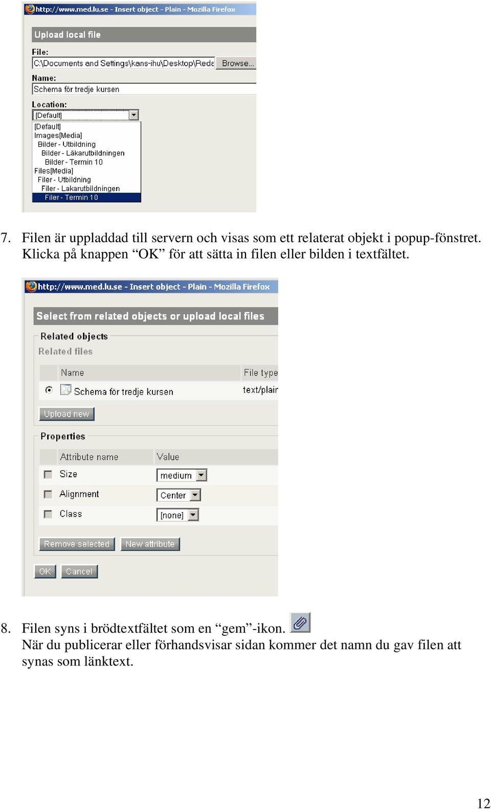 Klicka på knappen OK för att sätta in filen eller bilden i textfältet. 8.