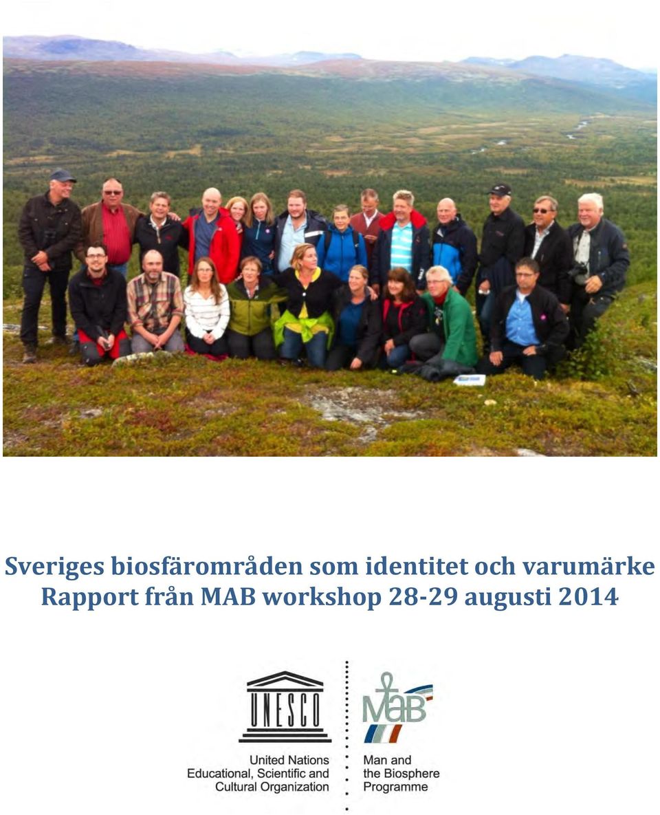 varumärke Rapport från