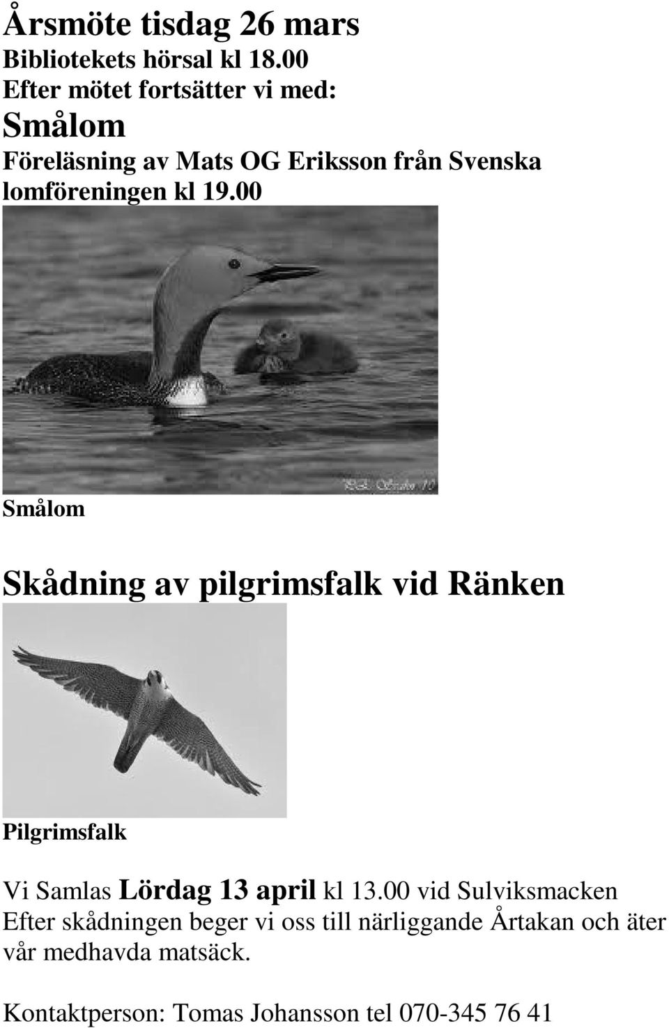 kl 19.00 Smålom Skådning av pilgrimsfalk vid Ränken Pilgrimsfalk Vi Samlas Lördag 13 april kl 13.