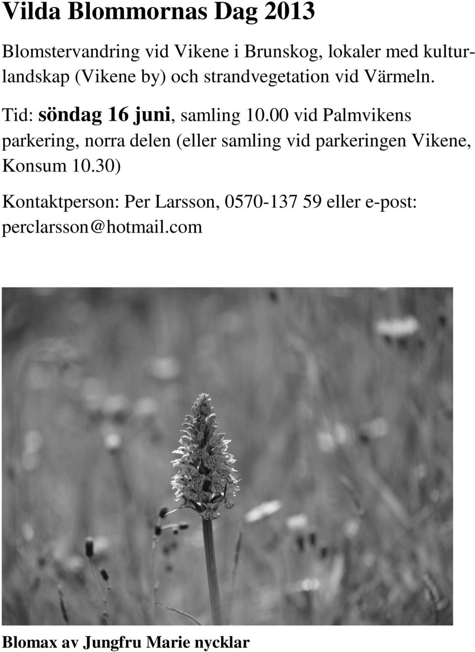 00 vid Palmvikens parkering, norra delen (eller samling vid parkeringen Vikene, Konsum 10.