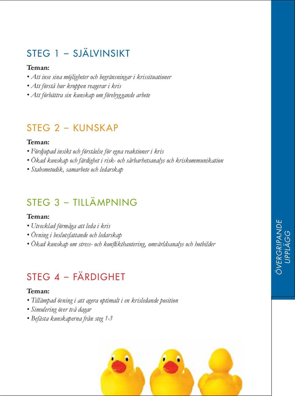 samarbete och ledarskap Steg 3 TILL ÄMPNING Teman: Utvecklad förmåga att leda i kris Övning i beslutsfattande och ledarskap Ökad kunskap om stress- och konflikthantering,