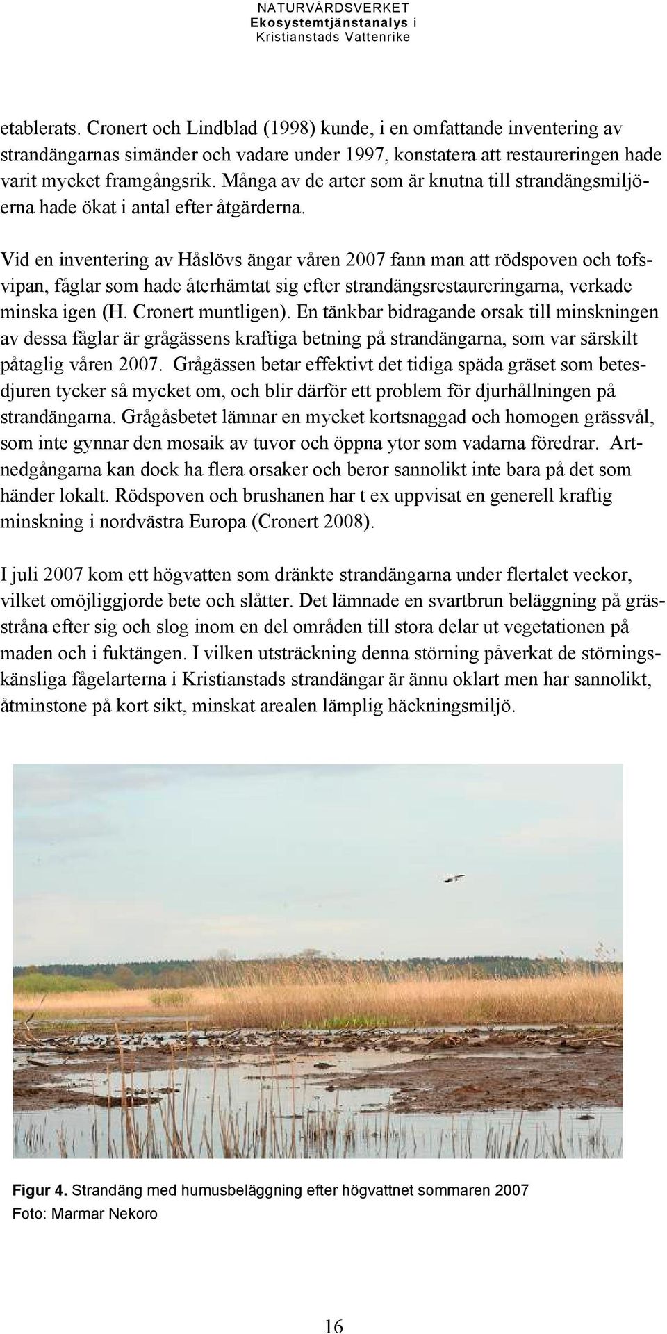 Vid en inventering av Håslövs ängar våren 2007 fann man att rödspoven och tofsvipan, fåglar som hade återhämtat sig efter strandängsrestaureringarna, verkade minska igen (H. Cronert muntligen).