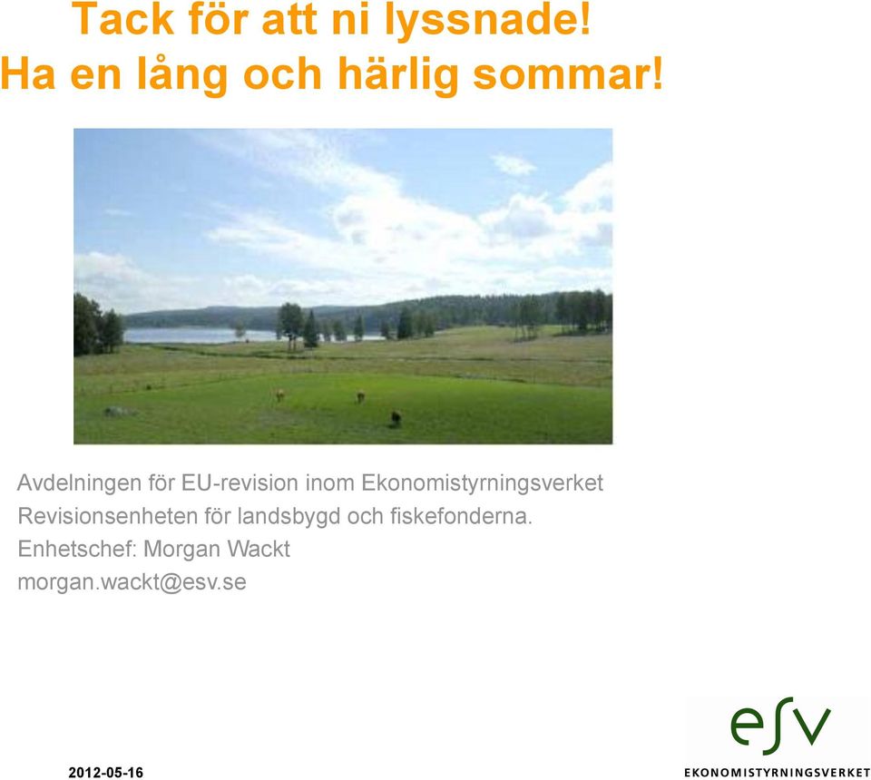Avdelningen för EU-revision inom