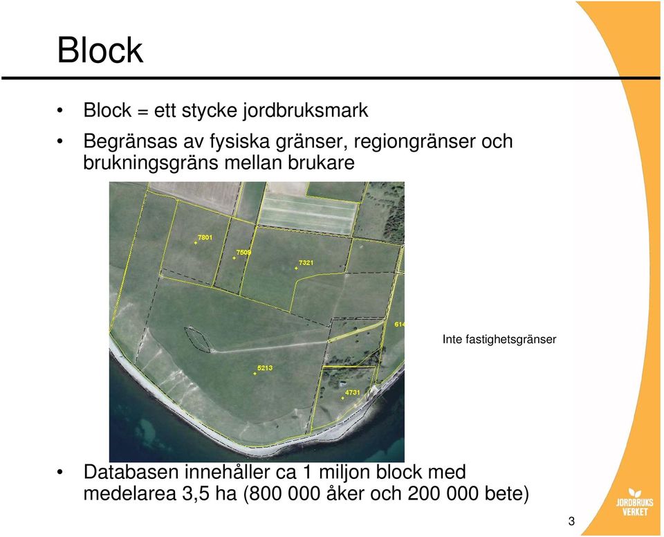 brukare Inte fastighetsgränser Databasen innehåller ca 1