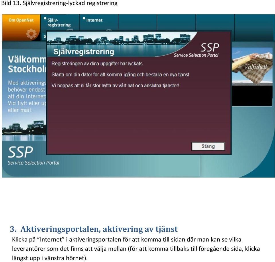 aktiveringsportalen för att komma till sidan där man kan se vilka