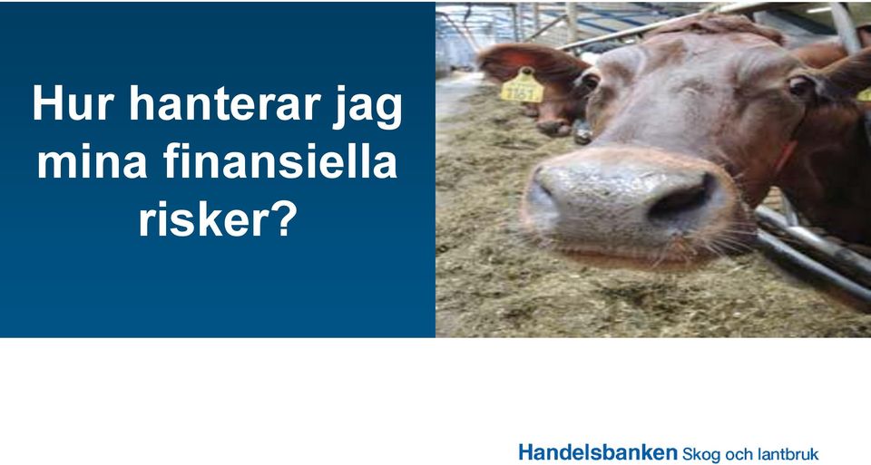 jag mina