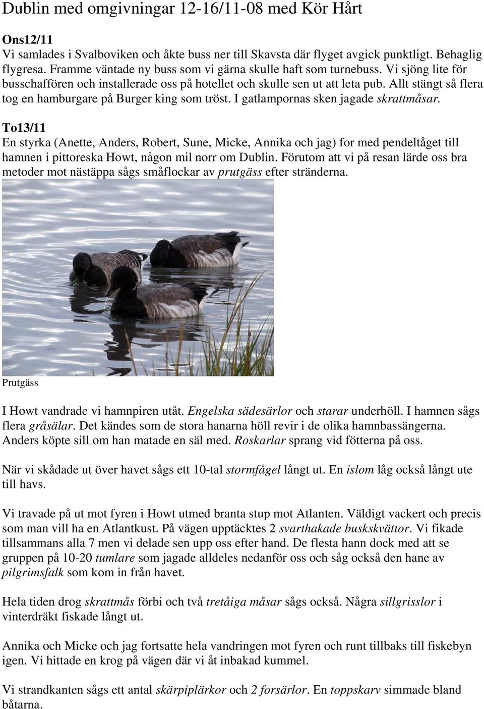 Allt stängt så flera tog en hamburgare på Burger king som tröst. I gatlampornas sken jagade skrattmåsar.