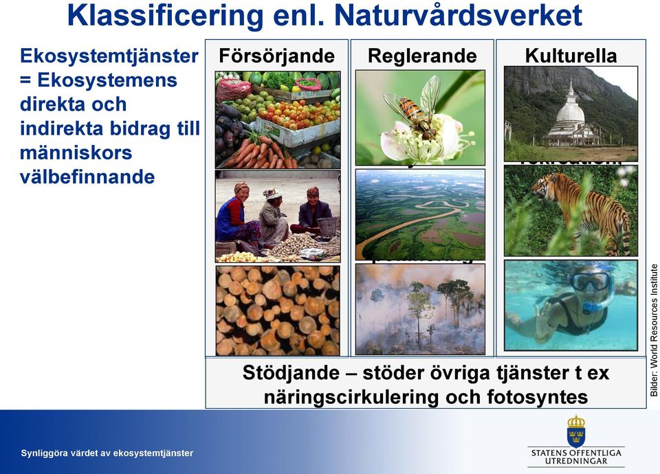 Varor som produceras av ekosystemet som fisk, timmer, frukt mm Reglerande Tjänster som produceras av ekosystemet som