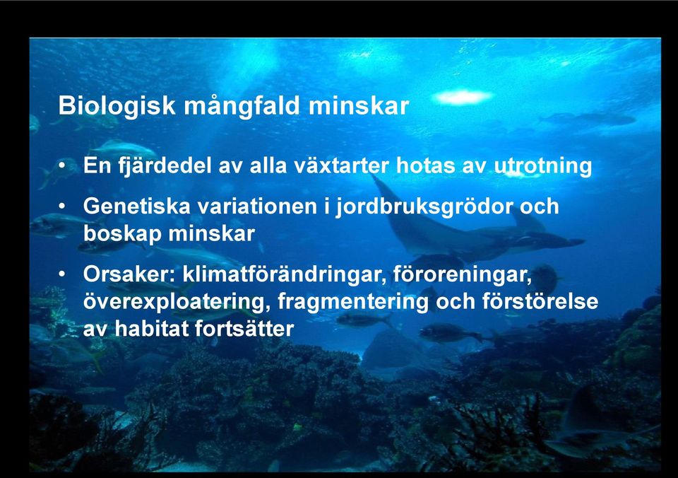 och boskap minskar Orsaker: klimatförändringar, föroreningar,