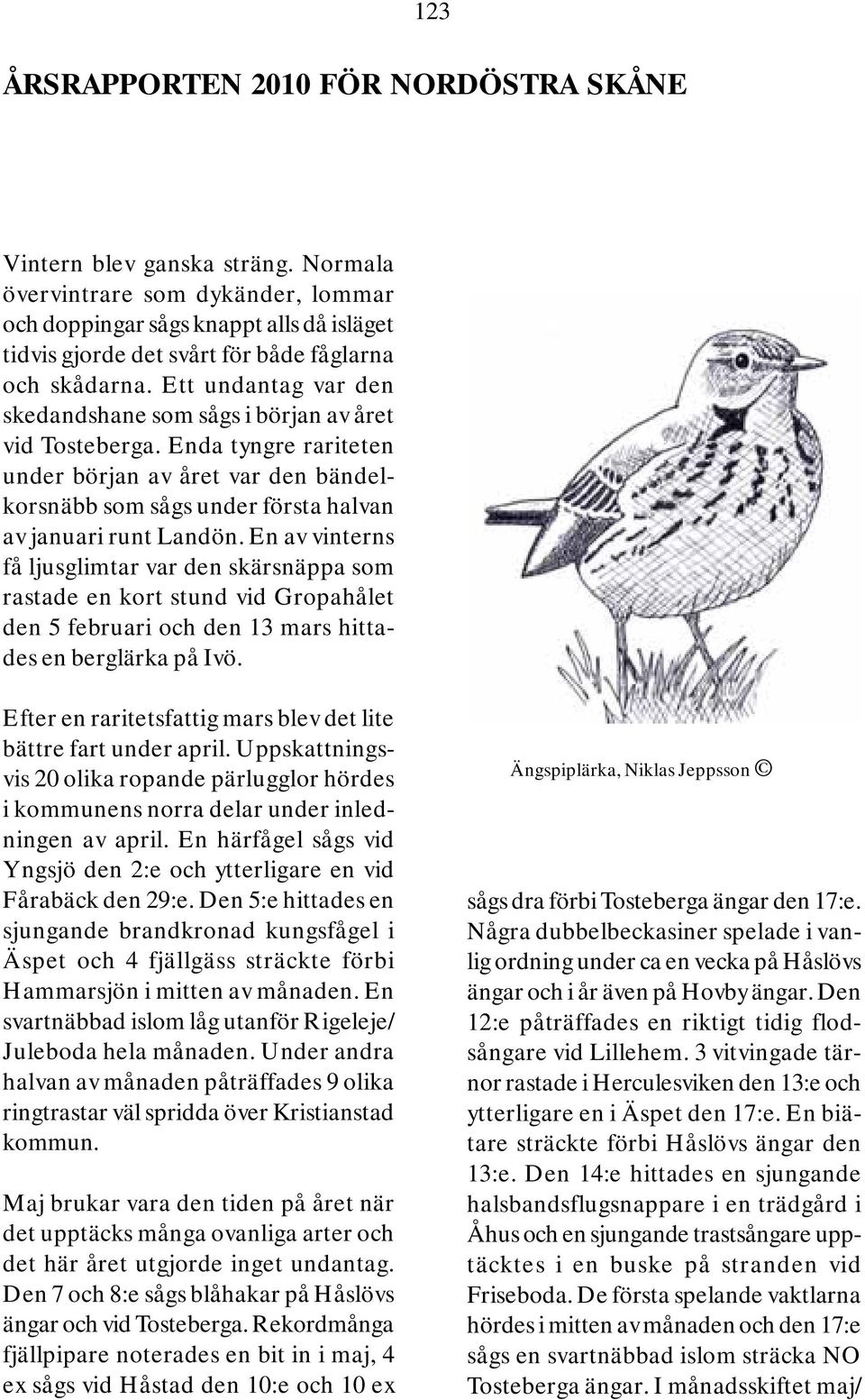 Ett undantag var den skedandshane som sågs i början av året vid Tosteberga. Enda tyngre rariteten under början av året var den bändelkorsnäbb som sågs under första halvan av januari runt Landön.