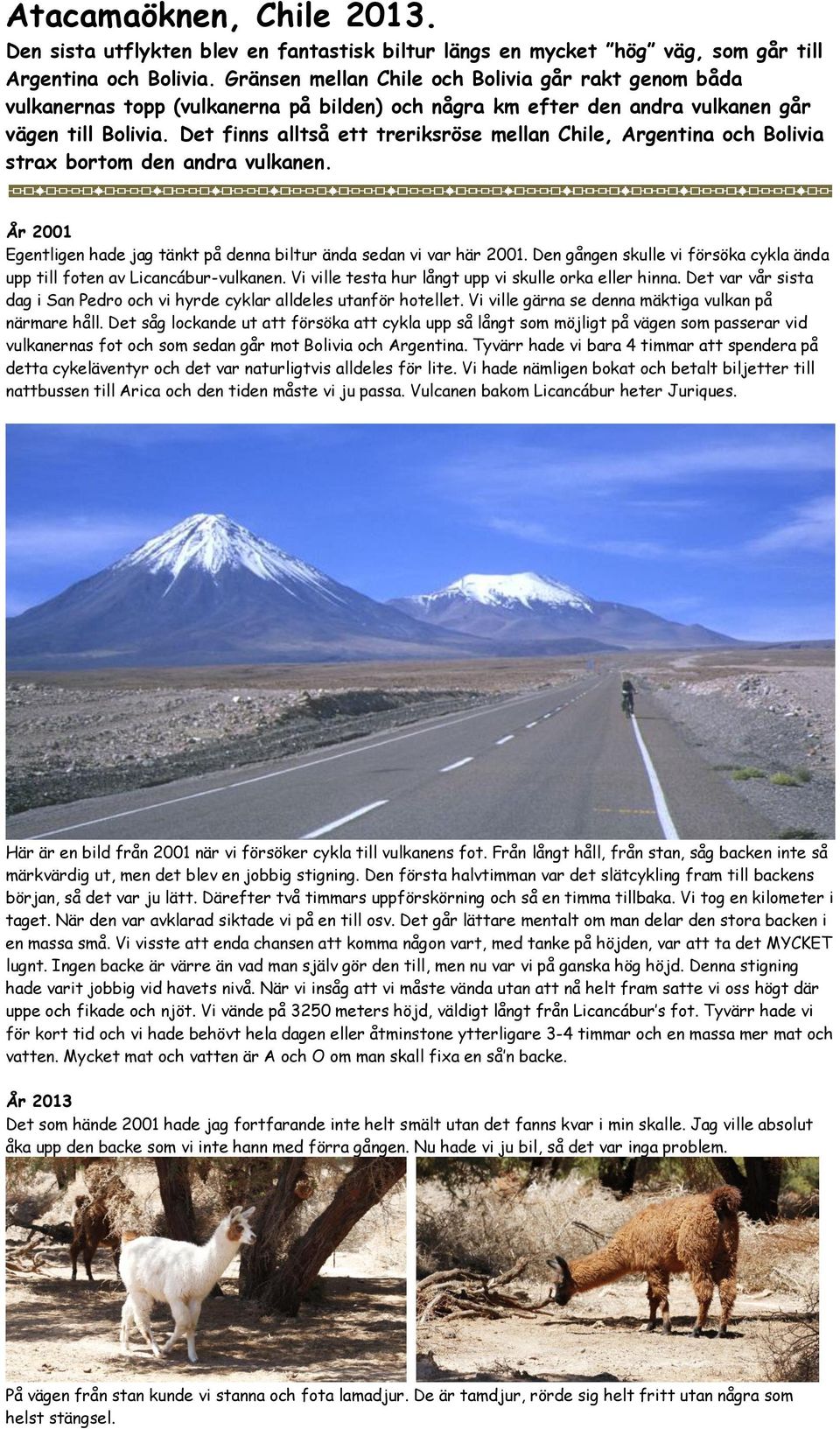 Det finns alltså ett treriksröse mellan Chile, Argentina och Bolivia strax bortom den andra vulkanen. År 2001 Egentligen hade jag tänkt på denna biltur ända sedan vi var här 2001.