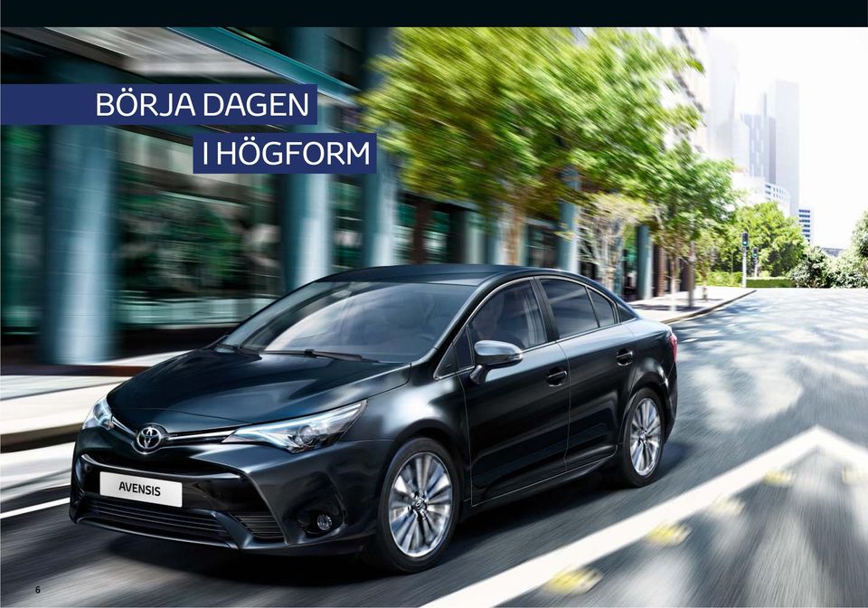 HÖGFORM 6