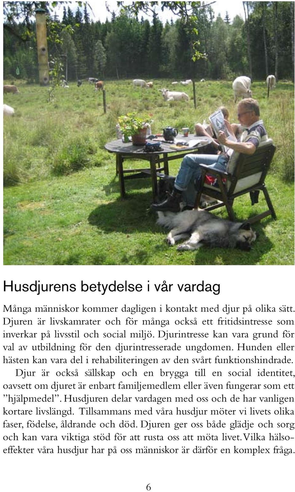 Hunden eller hästen kan vara del i rehabiliteringen av den svårt funktionshindrade.