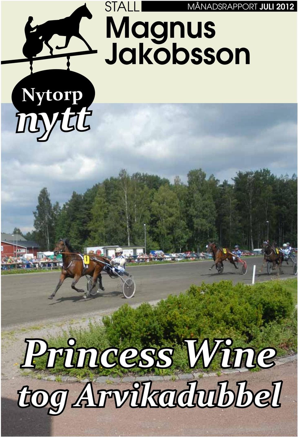 nytt Princess