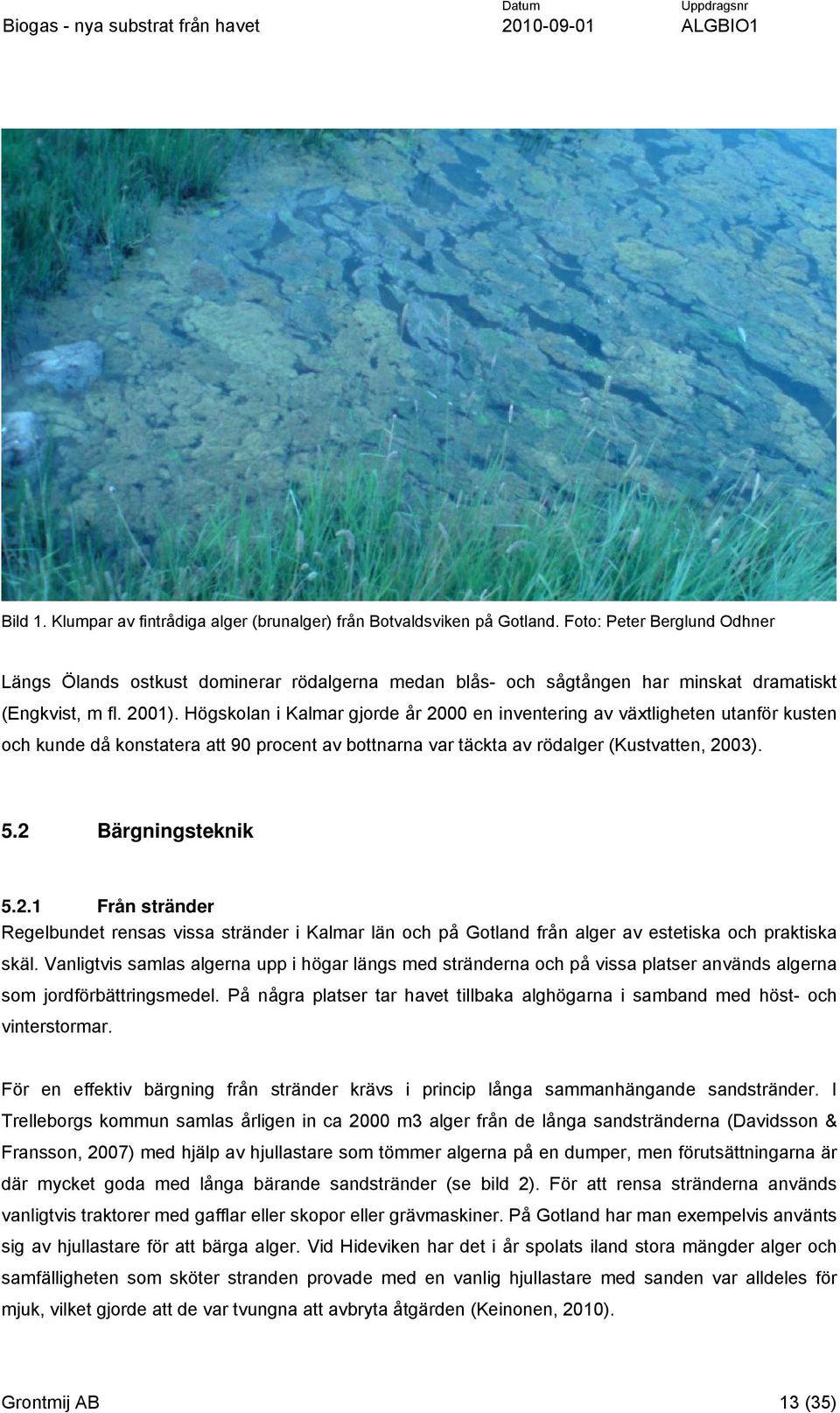 Högskolan i Kalmar gjorde år 2000 en inventering av växtligheten utanför kusten och kunde då konstatera att 90 procent av bottnarna var täckta av rödalger (Kustvatten, 2003). 5.2 Bärgningsteknik 5.2.1 Från stränder Regelbundet rensas vissa stränder i Kalmar län och på Gotland från alger av estetiska och praktiska skäl.