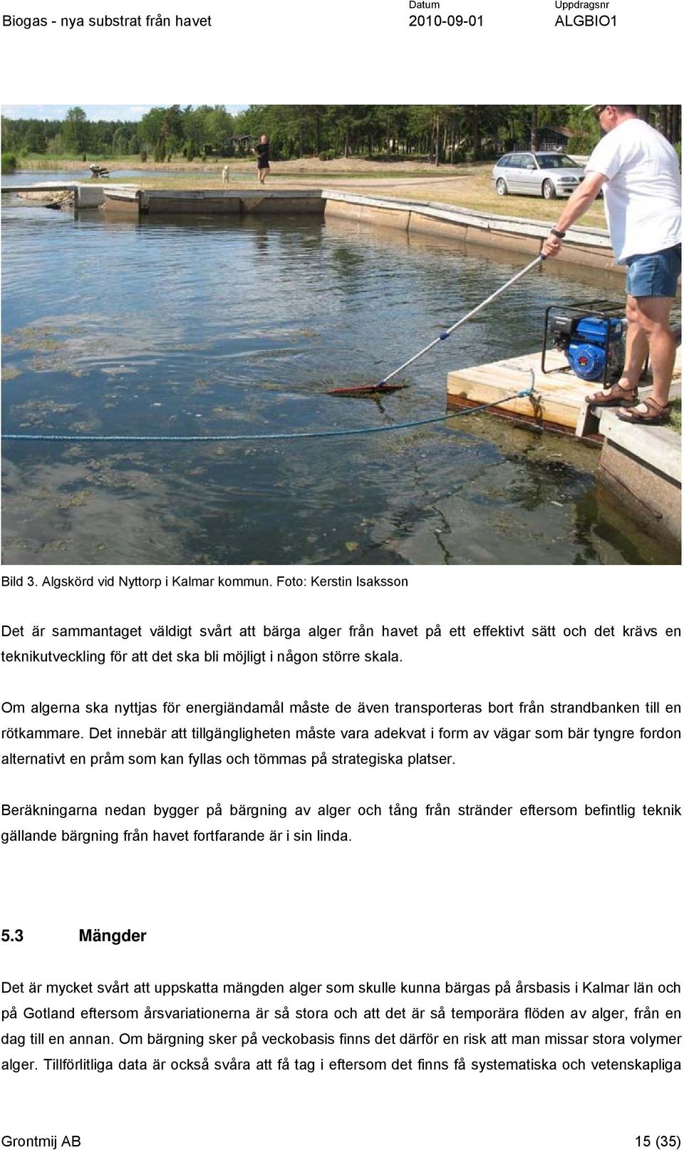Om algerna ska nyttjas för energiändamål måste de även transporteras bort från strandbanken till en rötkammare.