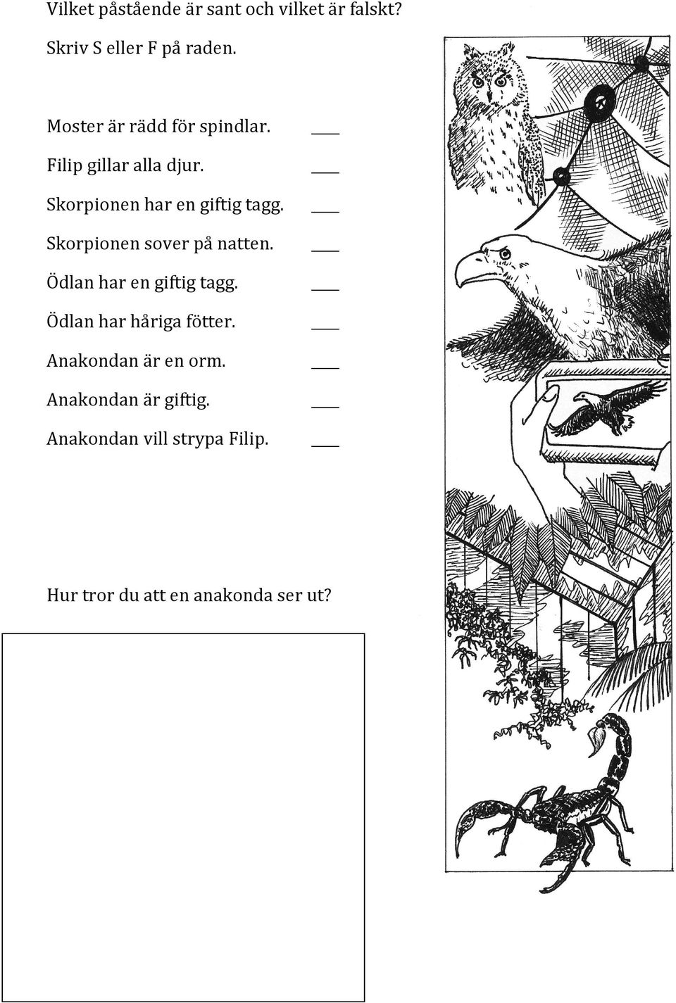 Skorpionen sover på natten. Ödlan har en giftig tagg. Ödlan har håriga fötter.