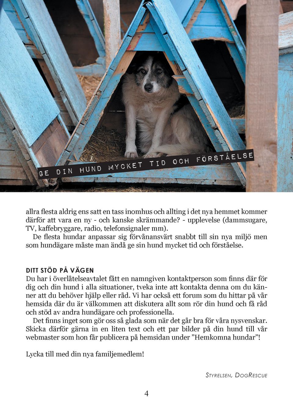 De ﬂesta hundar anpassar sig förvånansvärt snabbt till sin nya miljö men som hundägare måste man ändå ge sin hund mycket tid och förståelse.