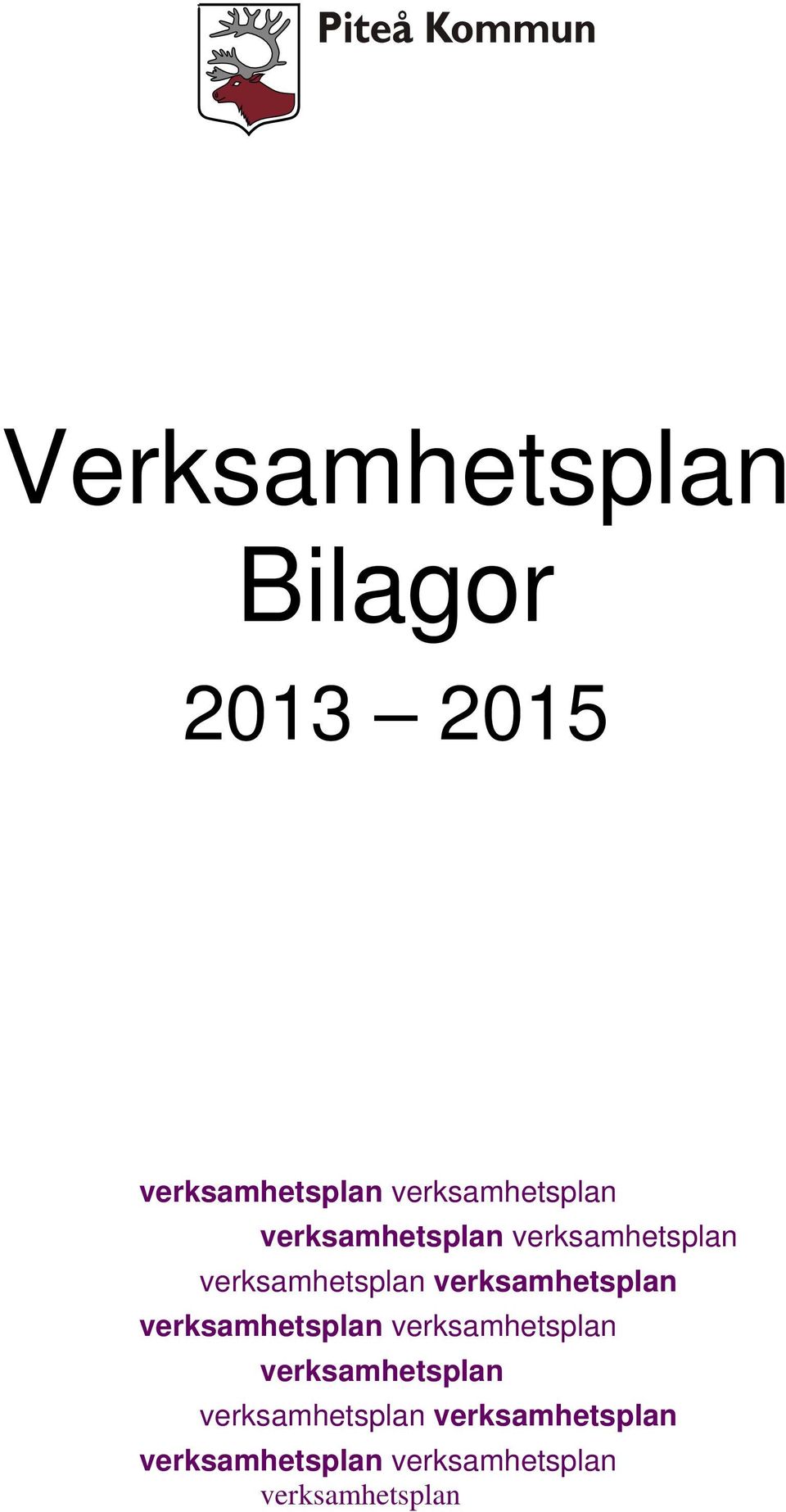 verksamhetsplan