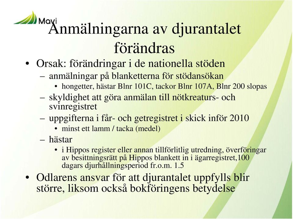 inför 2010 minst ett lamm / tacka (medel) hästar i Hippos register eller annan tillförlitlig utredning, överföringar av besittningsrätt på Hippos