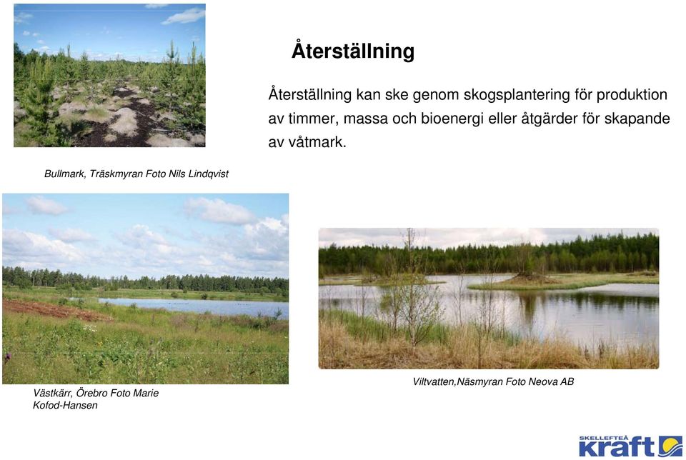 skapande av våtmark.