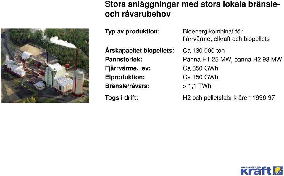 Bioenergikombinat för fjärrvärme, elkraft och biopellets Ca 130 000 ton Panna H1 25