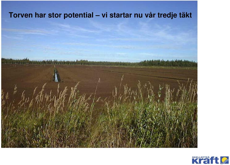 potential vi