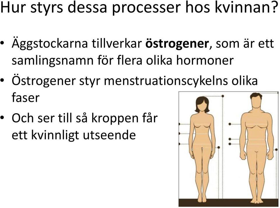 samlingsnamn för flera olika hormoner Östrogener styr
