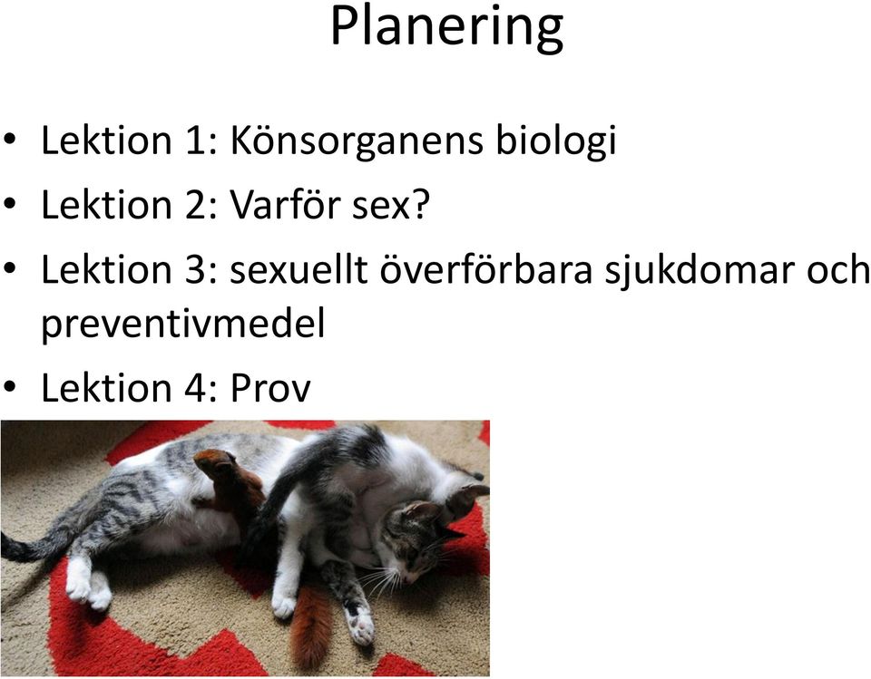 Lektion 3: sexuellt överförbara