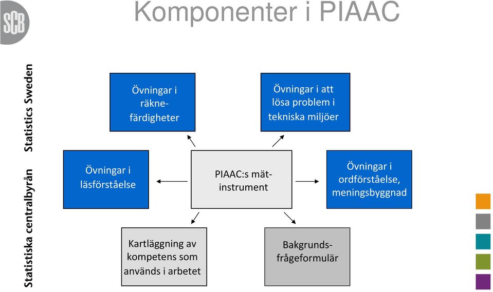 i ordförståelse, meningsbyggnad Kartläggning av kompetens som