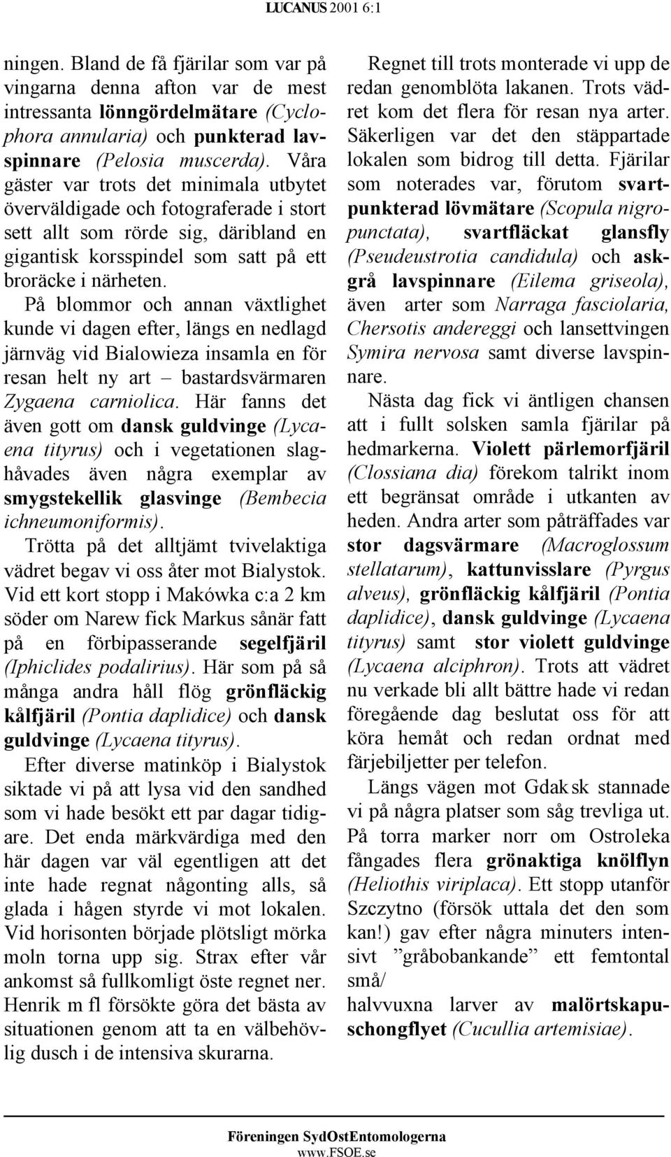 På blommor och annan växtlighet kunde vi dagen efter, längs en nedlagd järnväg vid Bialowieza insamla en för resan helt ny art bastardsvärmaren Zygaena carniolica.
