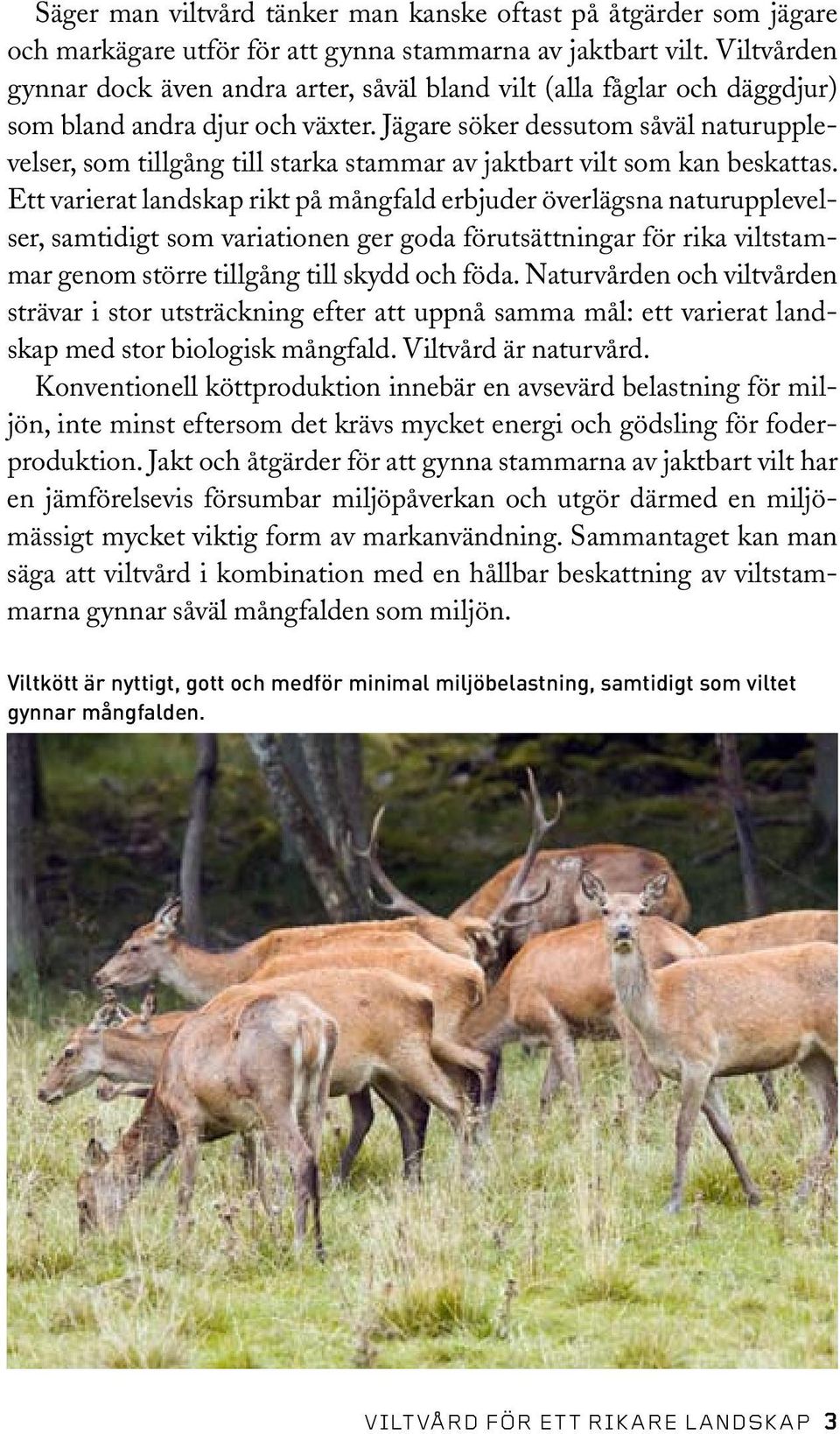 Jägare söker dessutom såväl naturupplevelser, som tillgång till starka stammar av jaktbart vilt som kan beskattas.