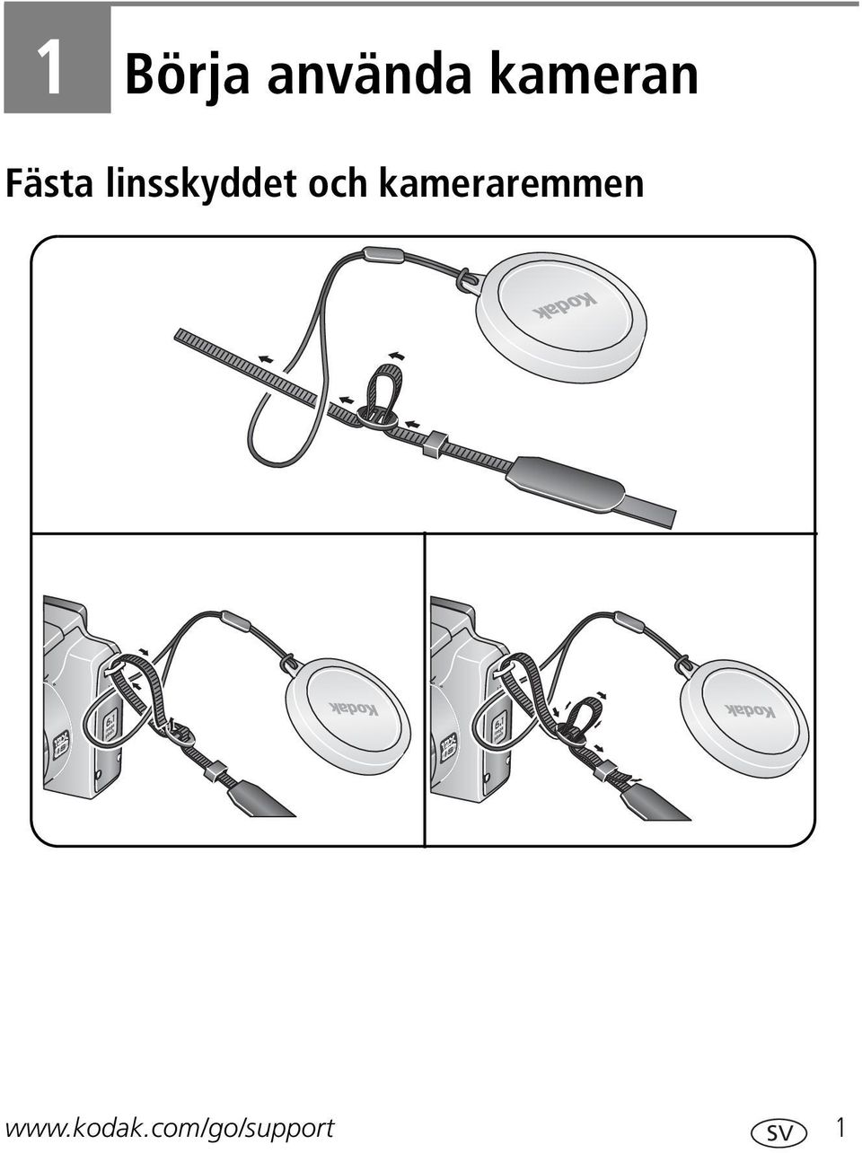 linsskyddet och