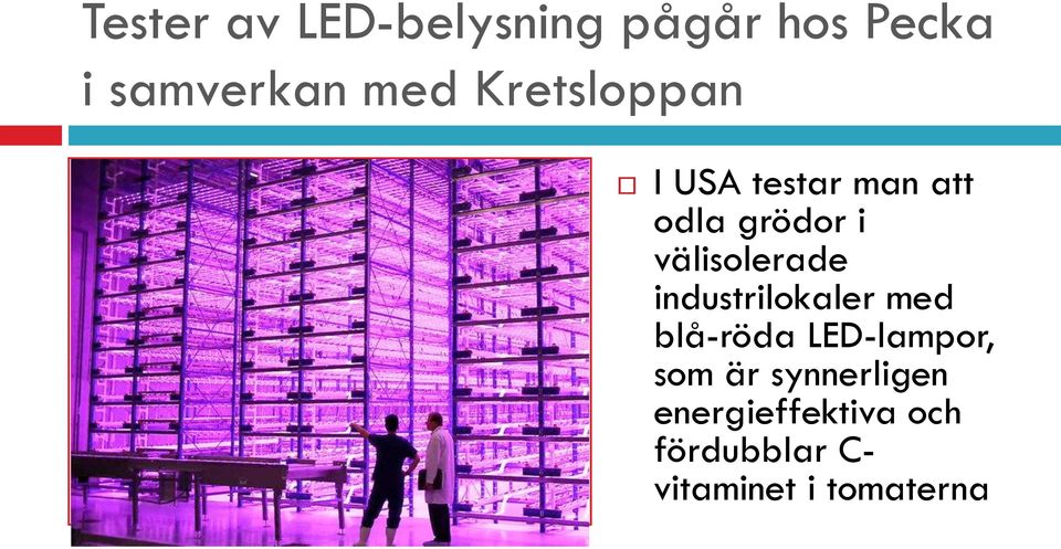 välisolerade industrilokaler med blå-röda LED-lampor, som