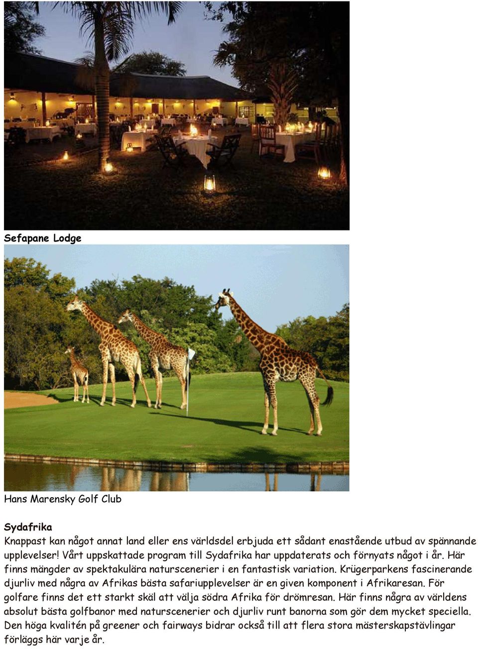 Krügerparkens fascinerande djurliv med några av Afrikas bästa safariupplevelser är en given komponent i Afrikaresan.