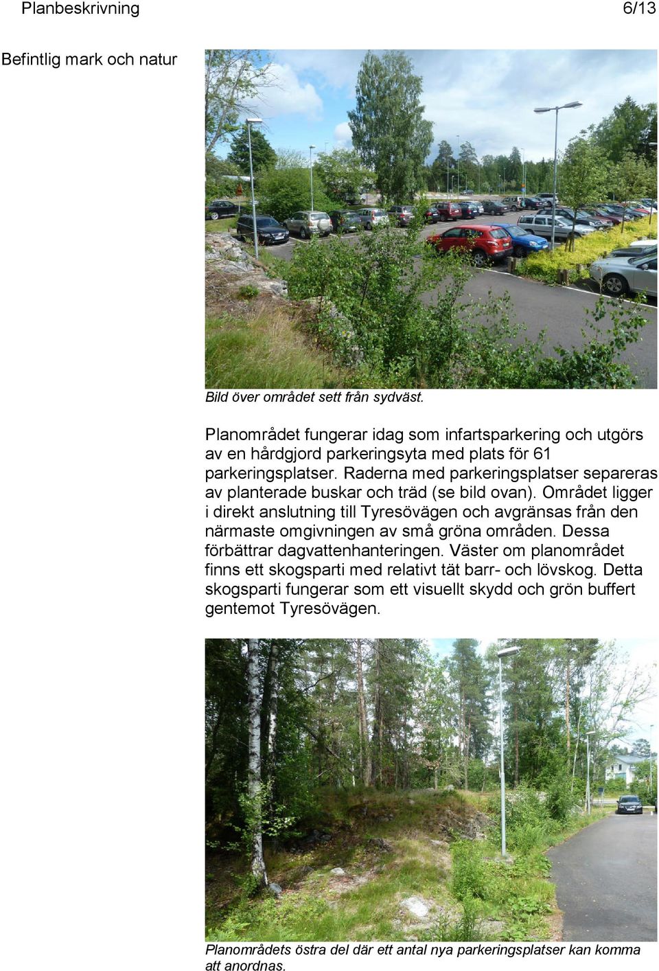 Raderna med parkeringsplatser separeras av planterade buskar och träd (se bild ovan).