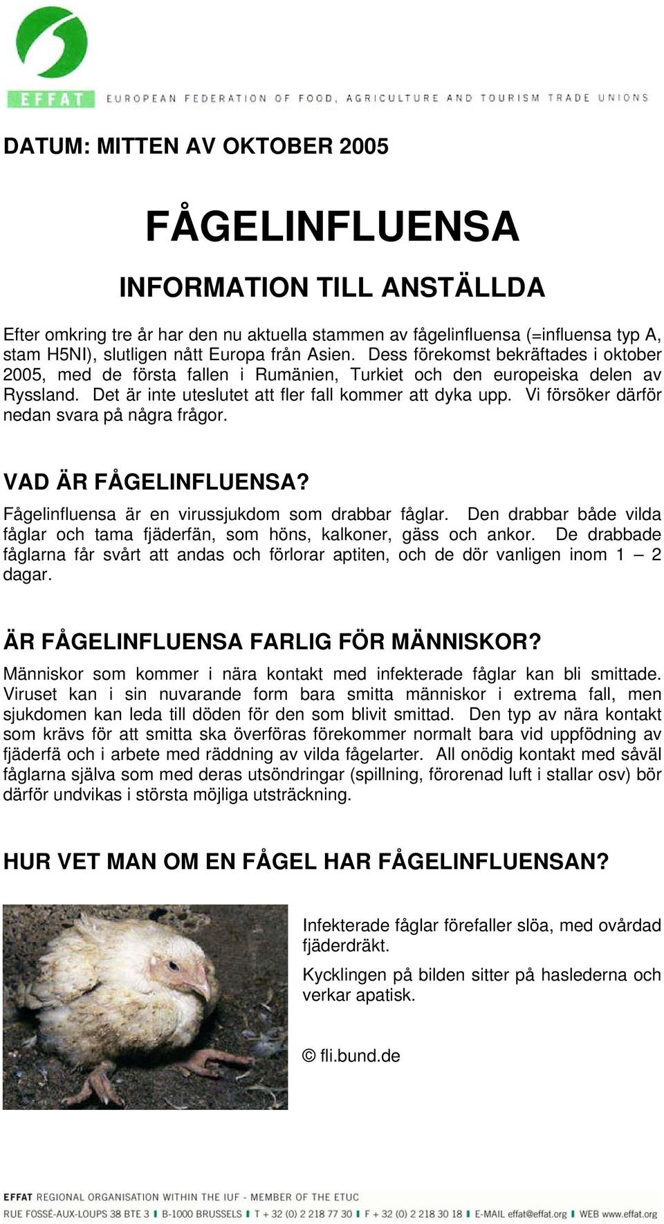 Vi försöker därför nedan svara på några frågor. VAD ÄR FÅGELINFLUENSA? Fågelinfluensa är en virussjukdom som drabbar fåglar.