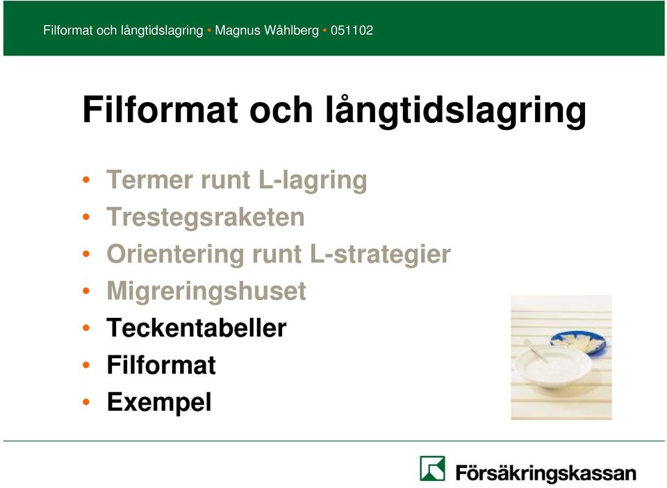 Orientering runt L-strategier
