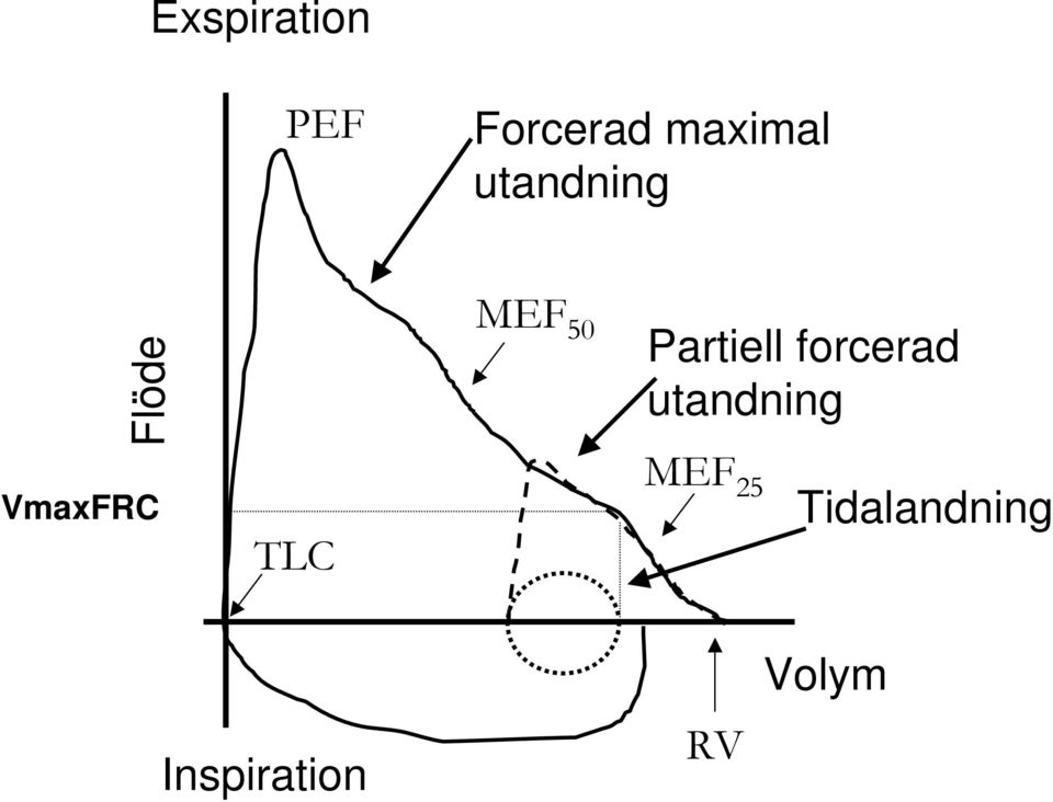 forcerad utandning VmaxFRC TLC