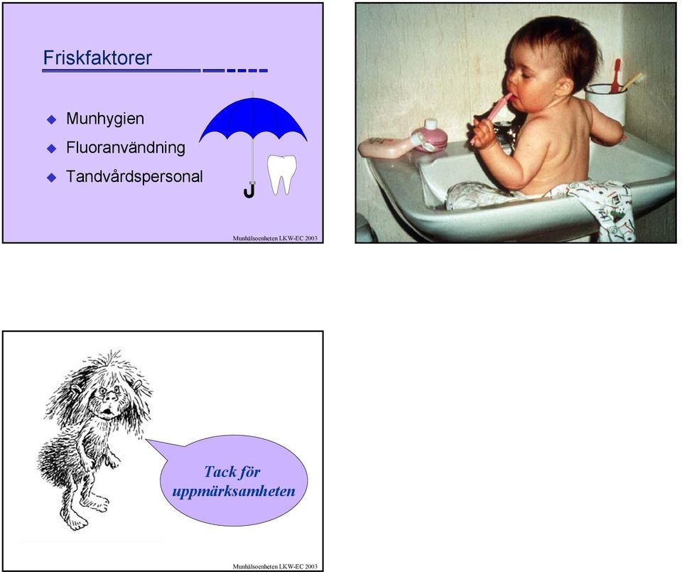 Fluoranvändning