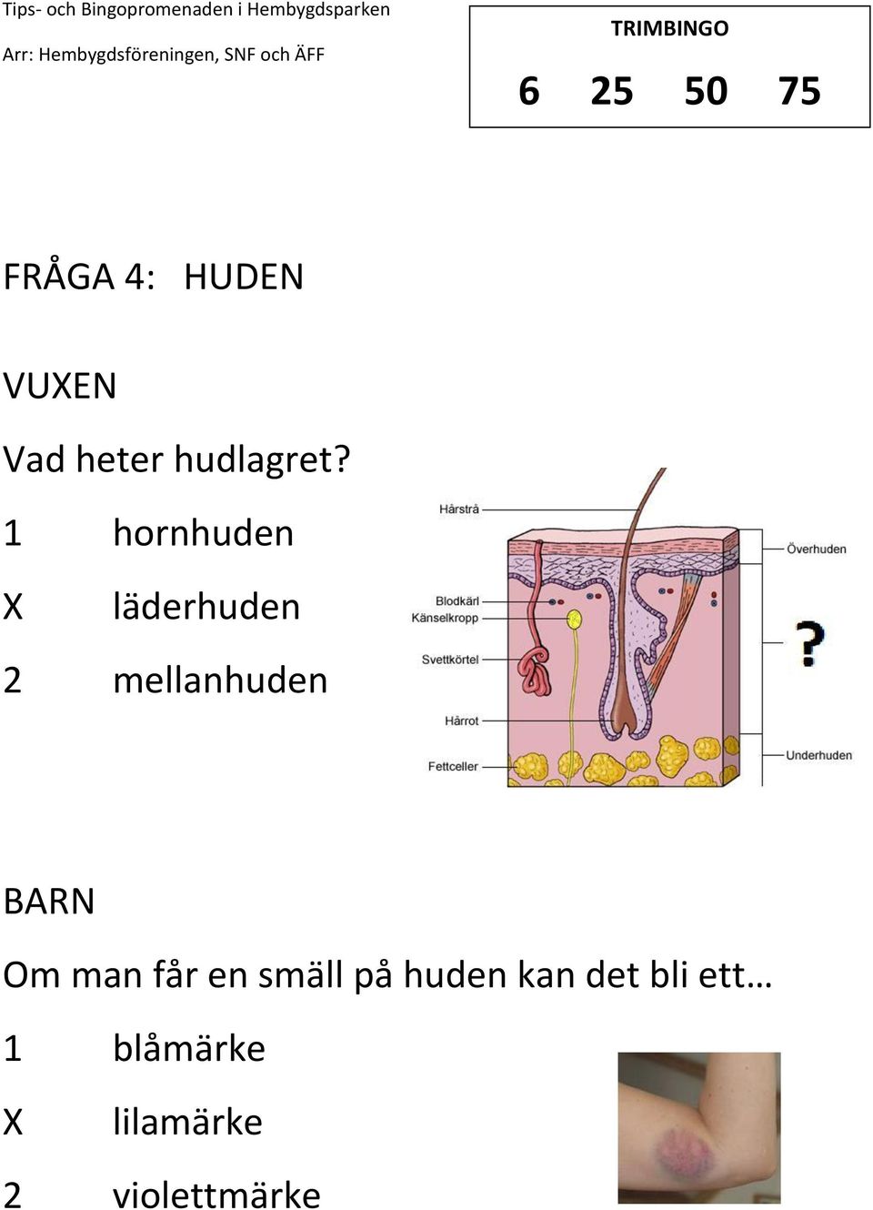 1 hornhuden läderhuden 2 mellanhuden Om