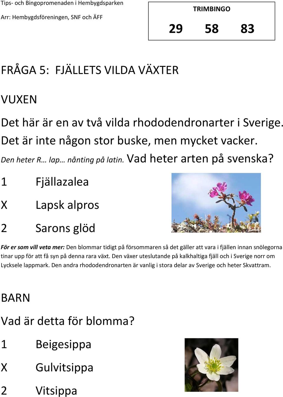 1 Fjällazalea Lapsk alpros 2 Sarons glöd För er som vill veta mer: Den blommar tidigt på försommaren så det gäller att vara i fjällen innan snölegorna tinar